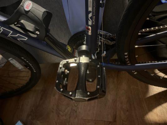 Trek bike pedal fixed