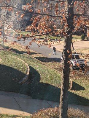 Team cleaning off the road.