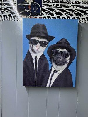 Belushi Brothers... dog and cat style