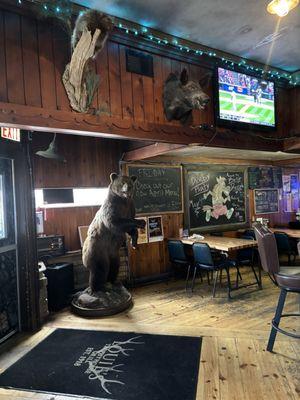 Bear, Boar and porcupine greeters