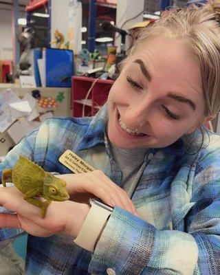 Carma the Chameleon from our Critter Zone!