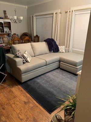 Couch and area rug