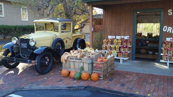 Variety Of Gourds!