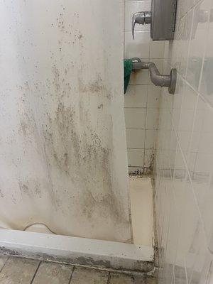 This is how this place got us living, showering in mildew. Where's the Health department at?