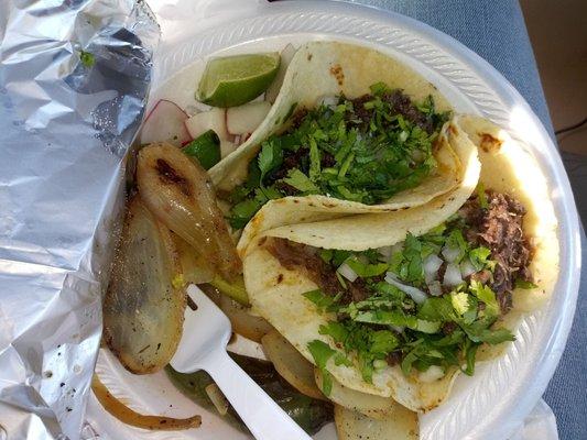 Two barbacoa tacos with grilled onions and radishes