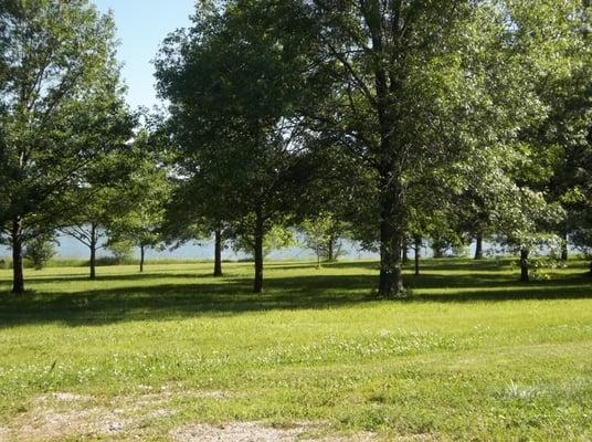 Lake on Campus