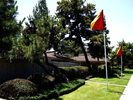 Monterey Pines Apartments a great place to call home!