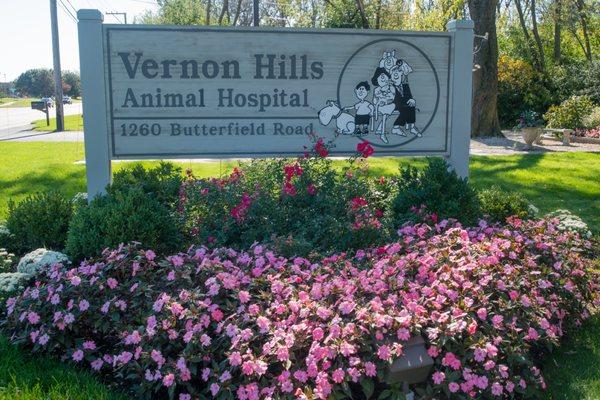 Vernon Hills Animal Hospital