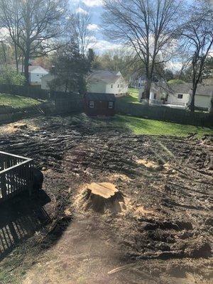 Back yard where tree was removed and yard was destroyed