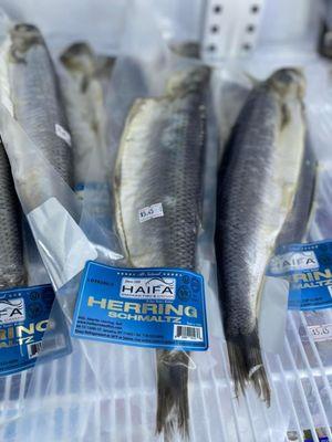 Herring