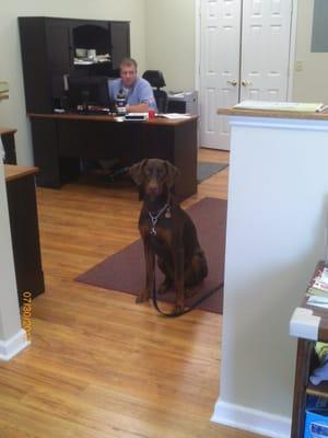 It's Dude, the office mascot/watchdog!