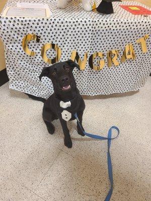 Puppy class graduation