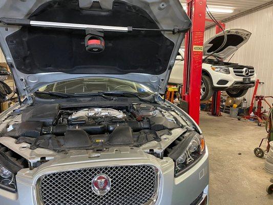 Jaguar Repair, Jaguar Service, Jaguar Brakes, Jaguar Oil Filter Change, Mercedes Benz Service