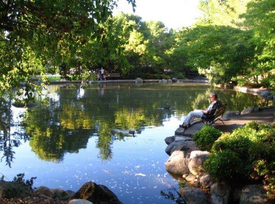 Bear Creek Duck Pond