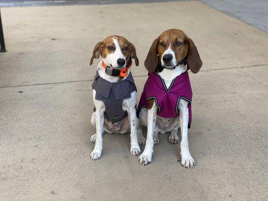 This is Reba and Jolene at their last day of training with Peyton in Yorktown, VA.