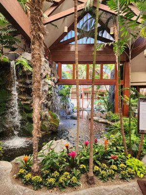 Beautiful entry to the hotel Koi fish pond and water fall