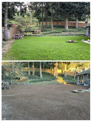 Lawn renovation. Before and after.