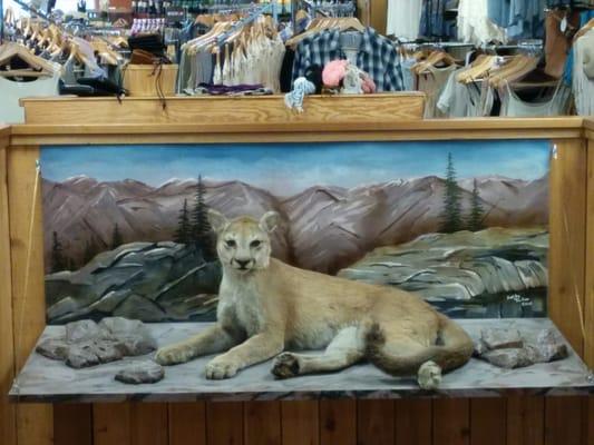 Check out this big cat when you go upstairs!