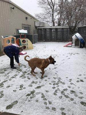 Allyson playing with the dogs in the snow !