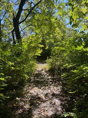 Lamborne Blvd Trailhead