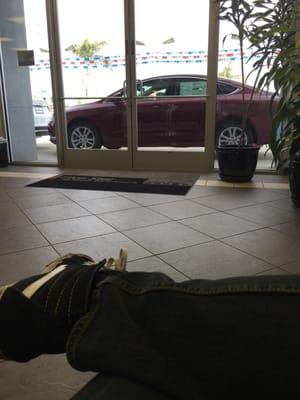 View from the dealership