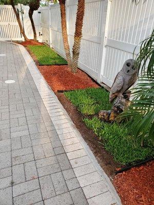 Mulch bed x St Augustine pattern design