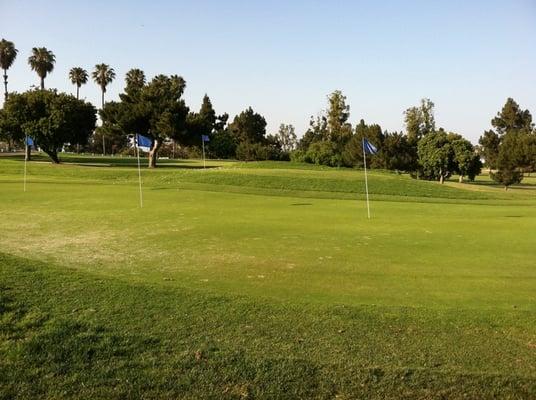 Chipping greens! NICEEEE!