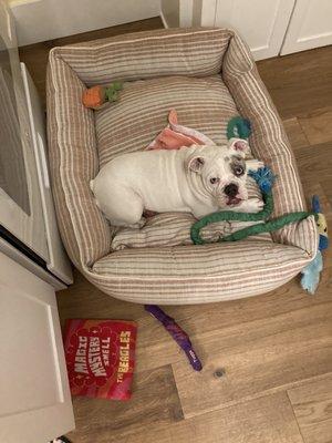 Elizabeth in her new bed from MaeDay Outpost