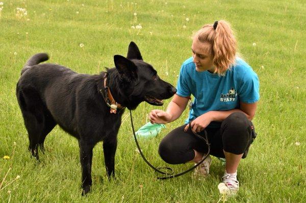 Abi the German Shepherd with Trainer Sarah!