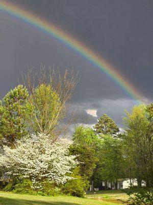 Local storm clouds and a double rainbow .