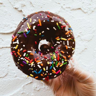 Chocolate Sprinkle Donut