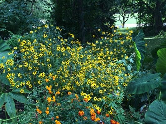 Beautiful flowers!