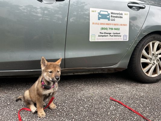 Our Maverick Roadside Mascot