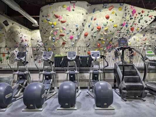 Gym with a view of bouldering