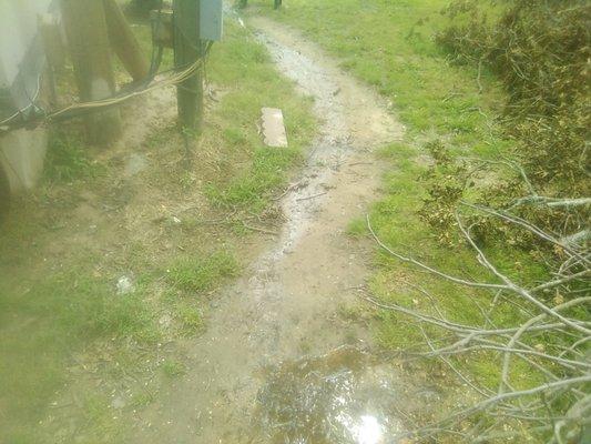 Puddle running from septic tank lid into my yard