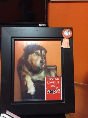 Love how the owner has a photo of his dog Oso (Bear) in the waiting room.  His dog is so sweet and the owner is so nice and helpful