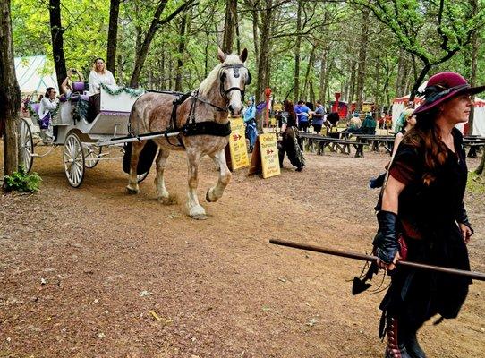 Rosie the horse driving the carriage.