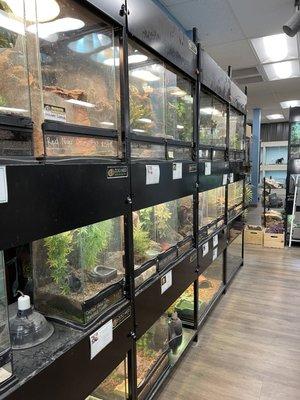 Reptile cages, much better layout than the way it used to be.