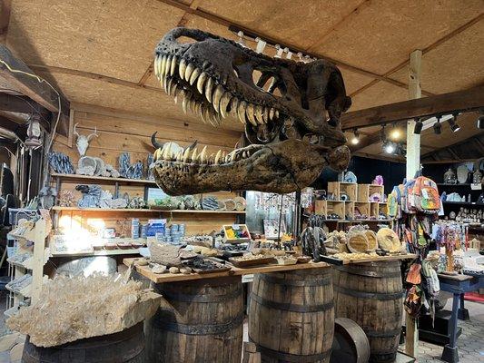 Life-size T Rex head