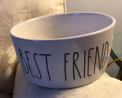 A new bowl for Hermoine.