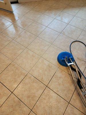 Elite Carpet and Tile Care