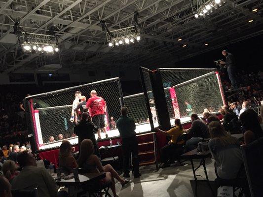 Pinnacle Combat MMA events are held in the Five Flags Arena 3-4 times per year.