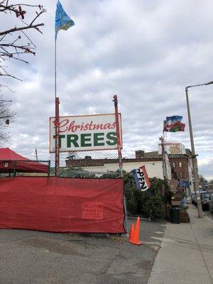 Right at the corner of Harvard Ave & Cambridge St