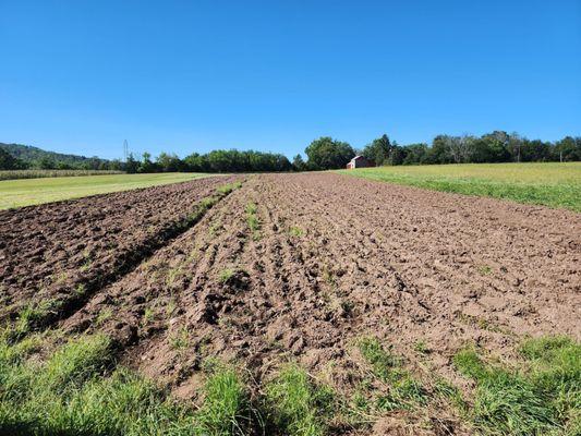 We learned how to plow the dirt and how they plant the wheat.