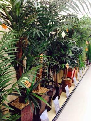 No water necessary! Tall & pretty faux plants @ Hobby Lobby in Madison, AL 20150330