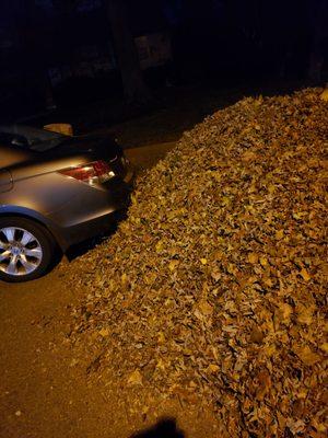 Why would you pile leaves up so close to a car? No respect for other people's property.