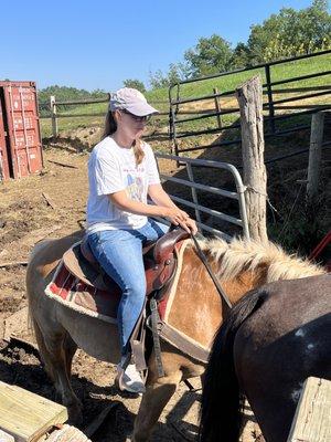 This horse got knipped and kicked at with a rider present. Rider stated; "if I was a first time rider, I would never want to ride again".