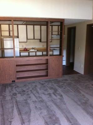 Apartment with bookshelf instead of breakfast bar