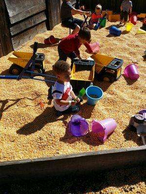 Big corn play bin. My son with high functioning autisms favorite thing