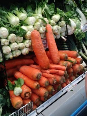 Large carrots!